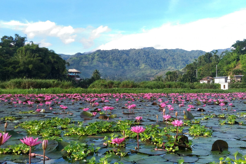 Lake Sebu4.jpg